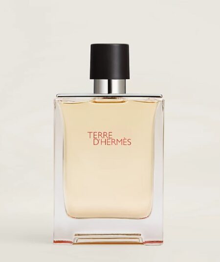 HERMES TERRE D'HERMES EDT  100 ML