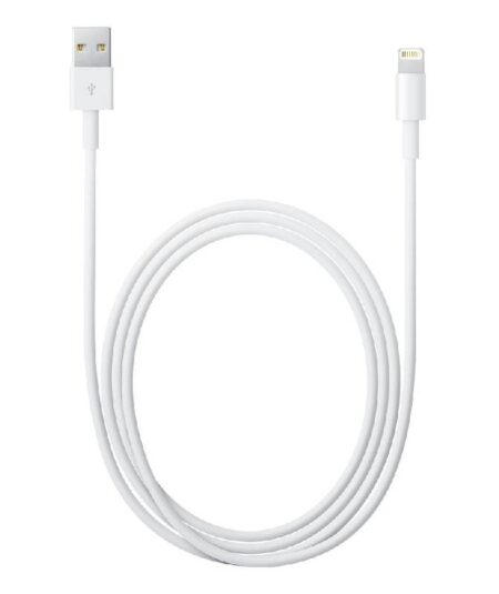 APPLE CAVO LIGHTNING / USB - 2 MT (MD819ZM/A)