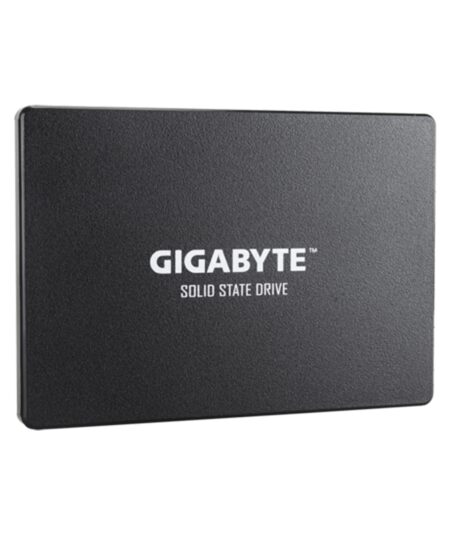 GIGABYTE GP-GSTFS31256GTND SSD 256GB - INTERNO - 2.5" - SATA3