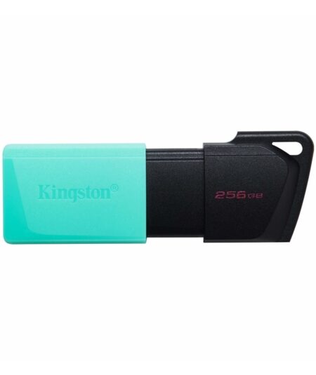 KINGSTON DATATRAVELER EXODIA M 256GB (DTXM/256GB) - PEN DRIVE 256GB USB-A 3.2