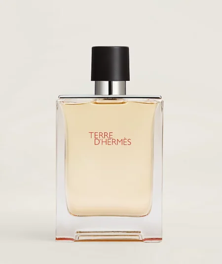 HERMES TERRE D'HERMES EDT  100 ML