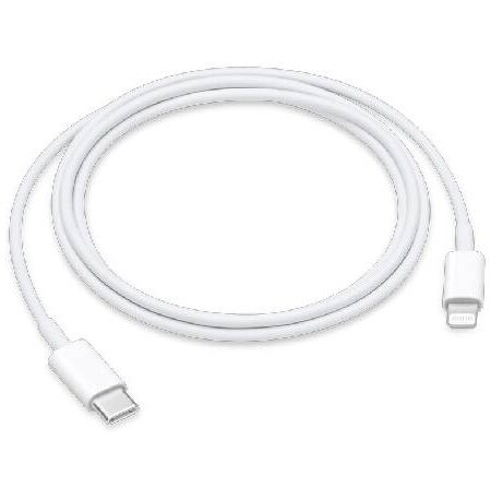 APPLE CAVO LIGHTNING / USB-C - 1 MT (MM0A3ZM/A)